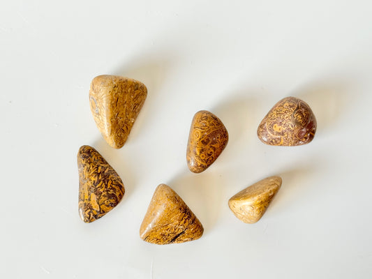 Elephant Skin Jasper, Tumble