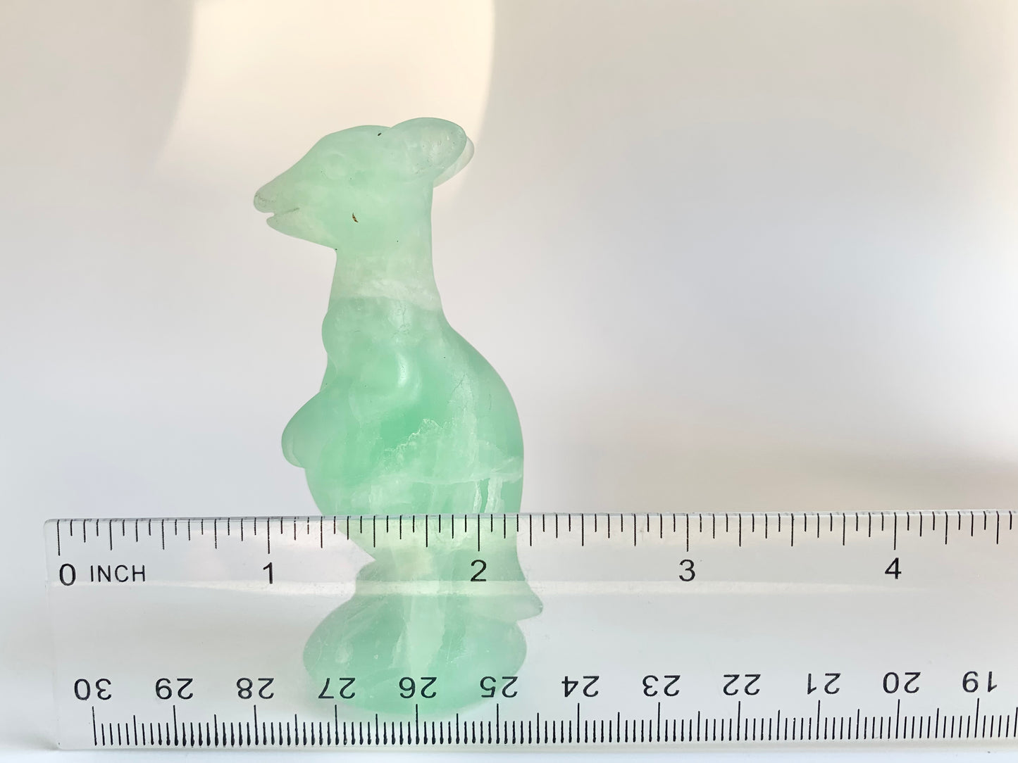 Fluorite Kangaroo