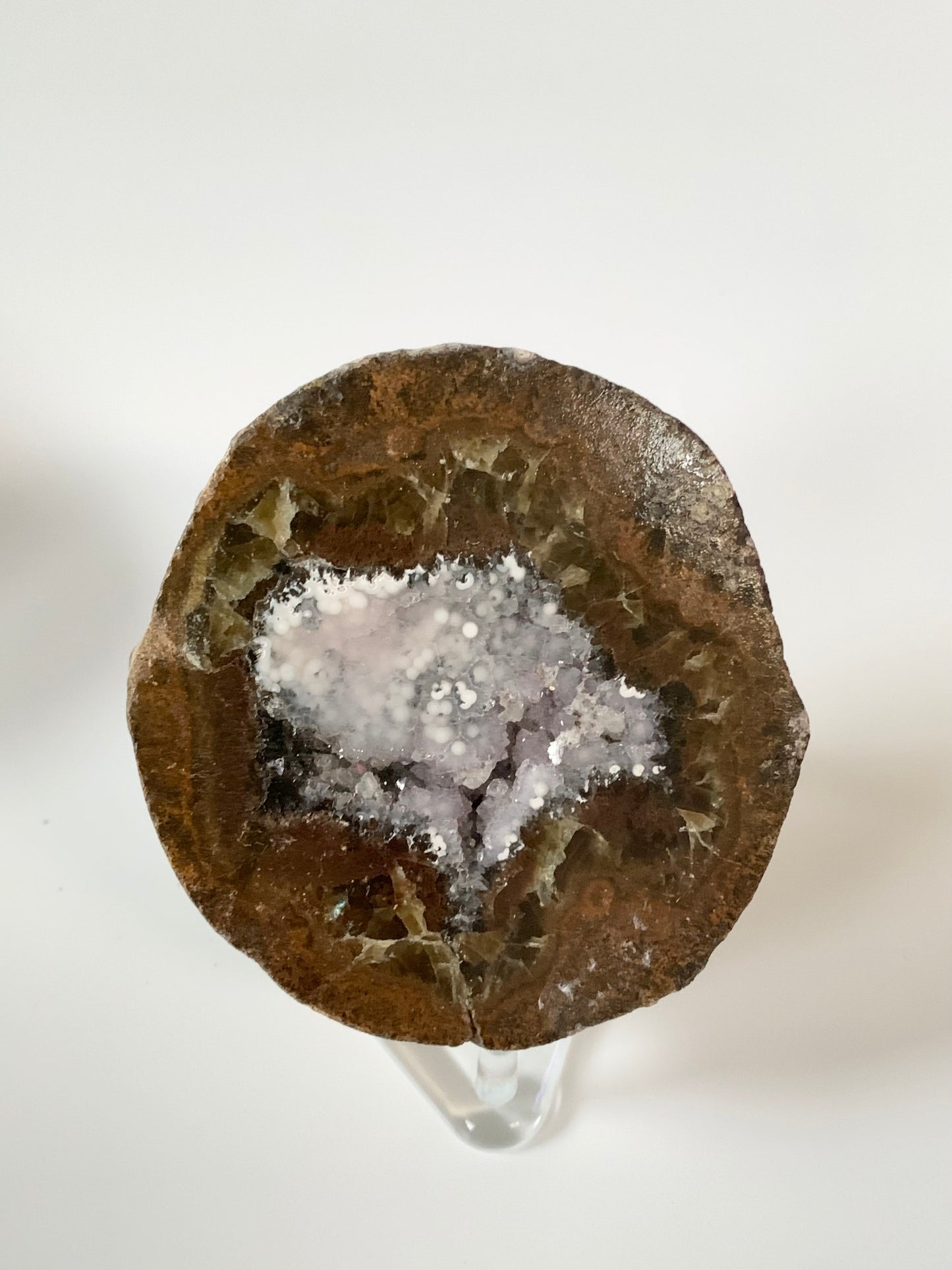 Coconut Geode Cut and Polished