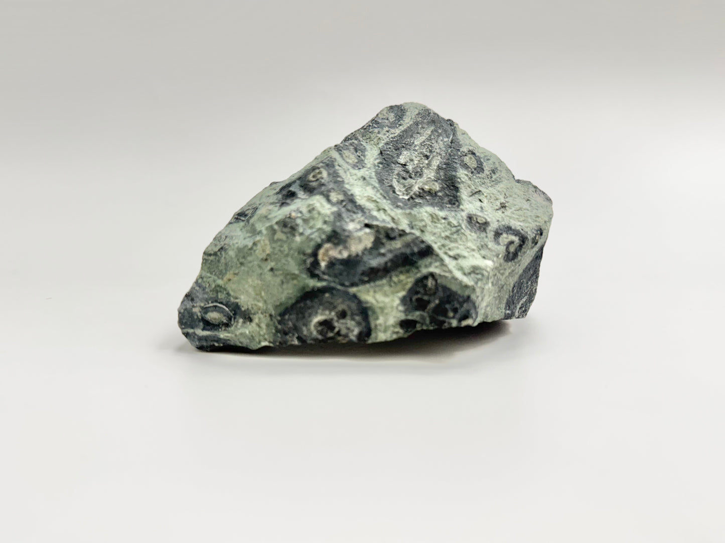 Kambaba Jasper, Raw Display Piece