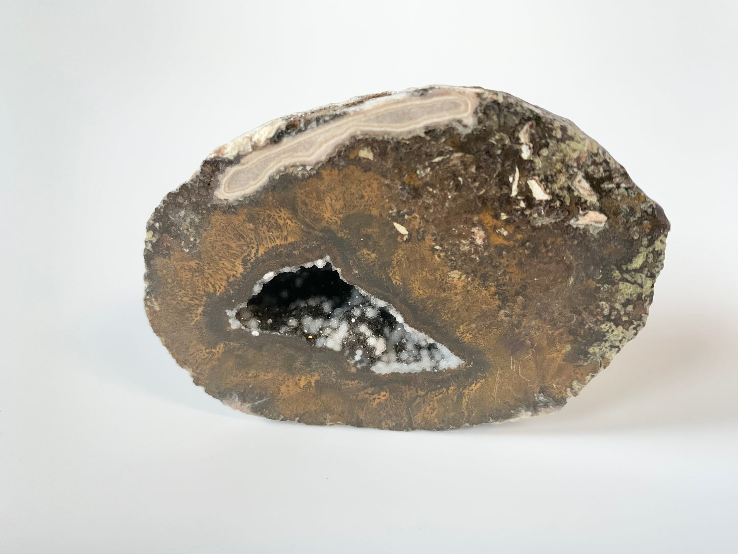 Coconut Geode Cut and Polished
