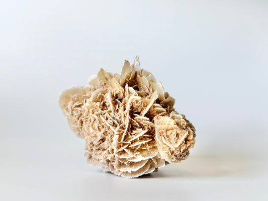 Desert Rose Cluster, Medium