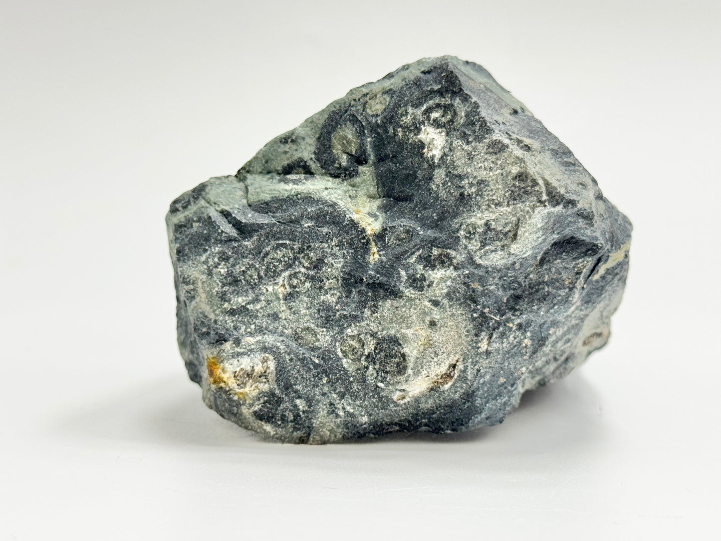 Kambaba Jasper, Raw Display Piece