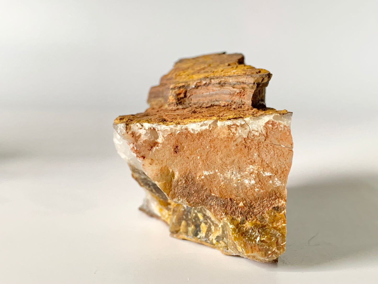 Raw Lionskin Jasper