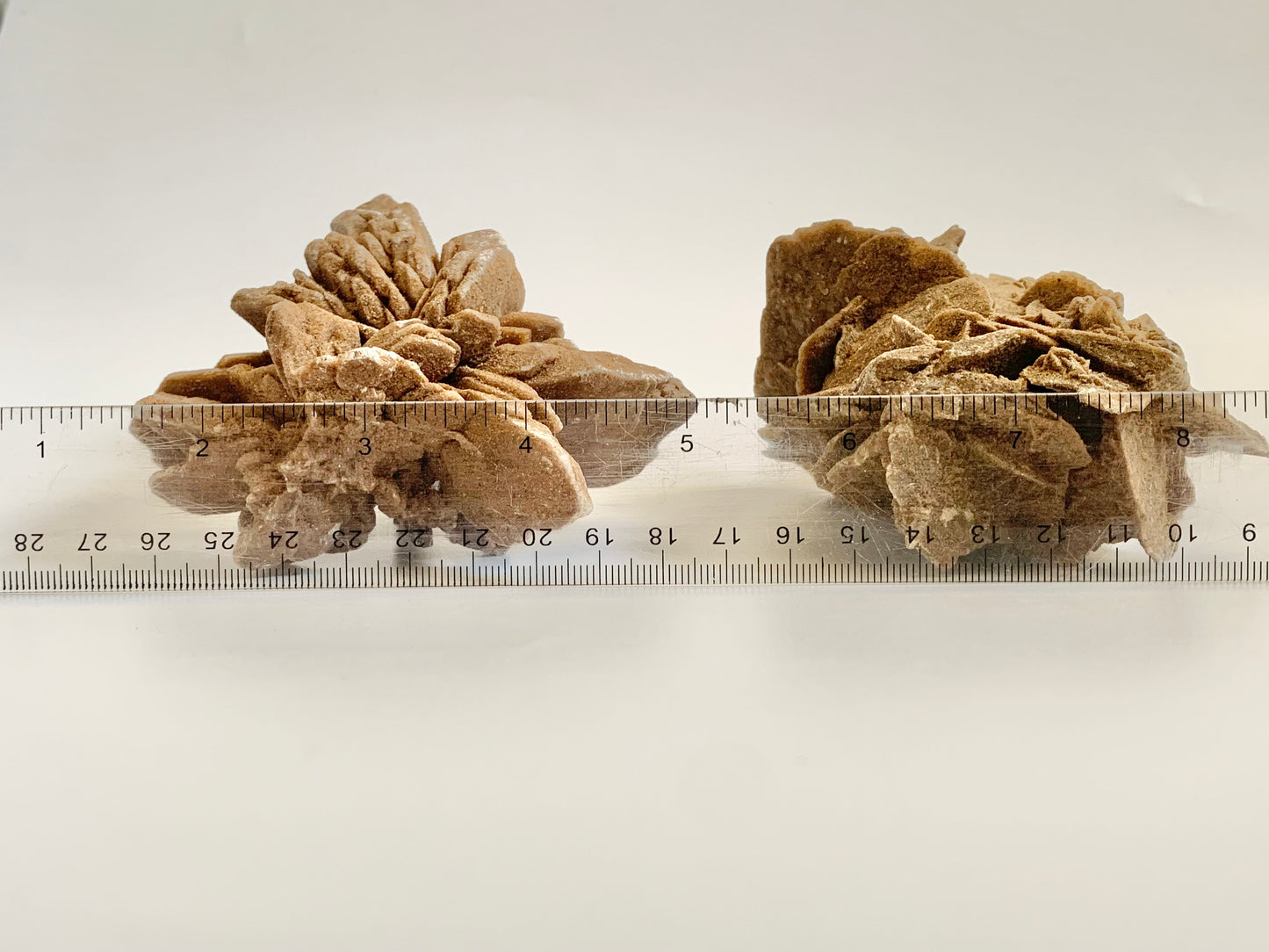 Desert Barite Rose Cluster