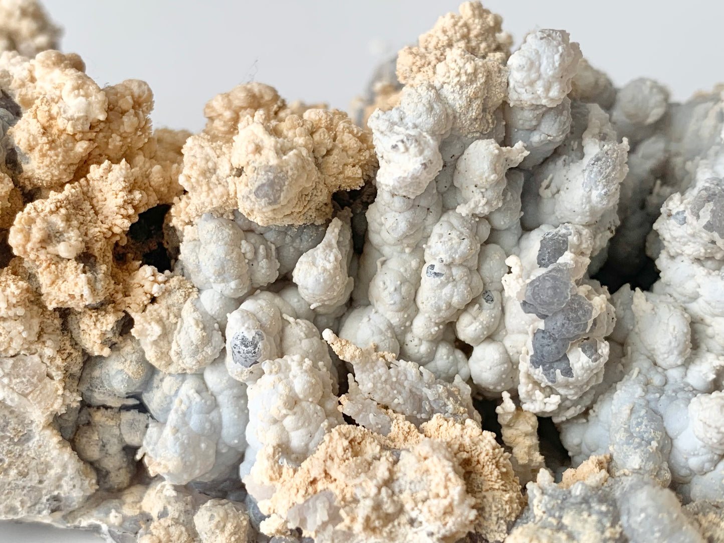 Angelwing Chalcedony Specimen