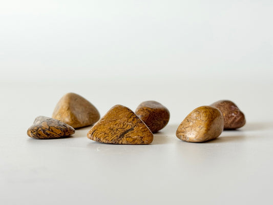 Elephant Skin Jasper, Tumble