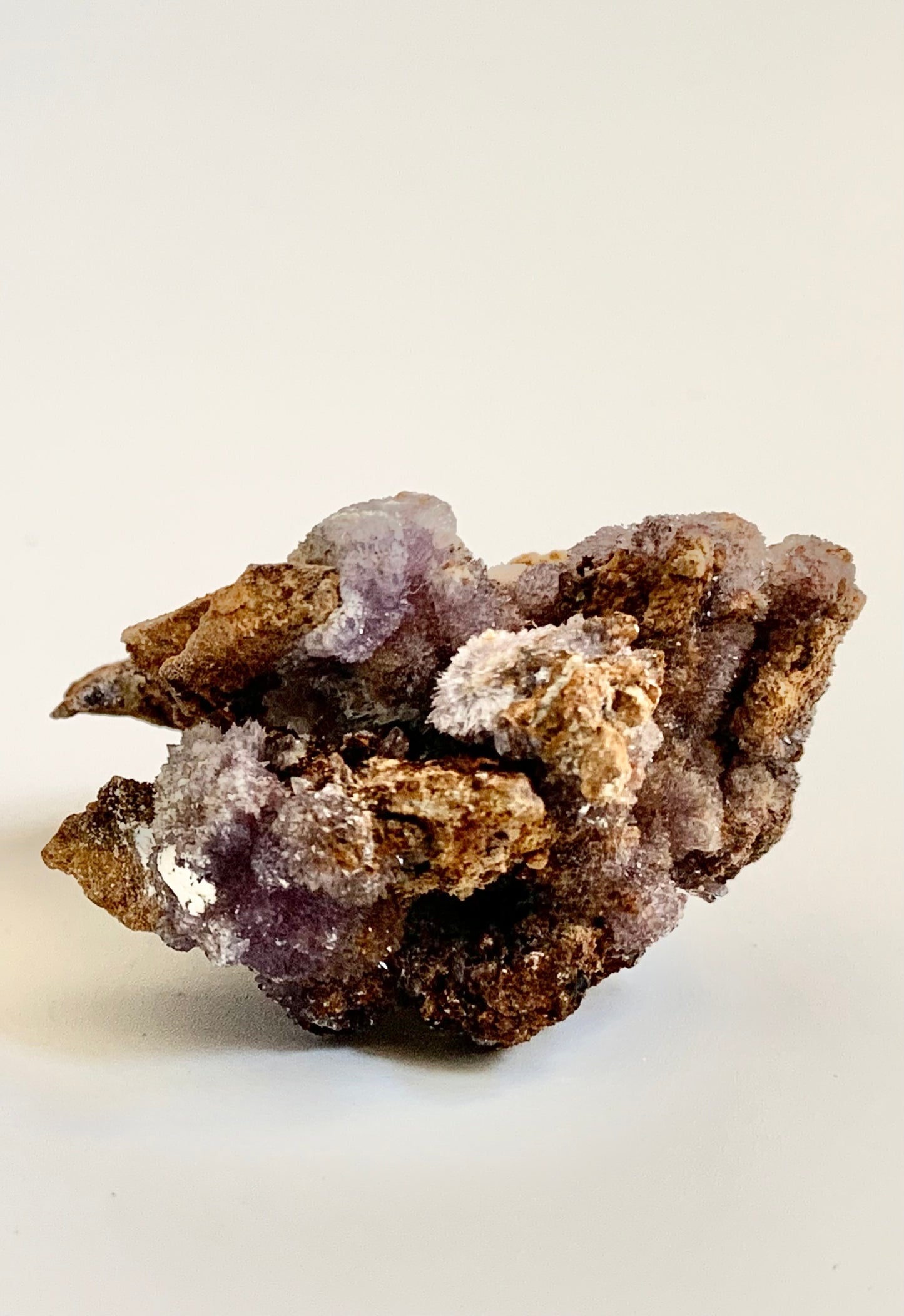 Creedite