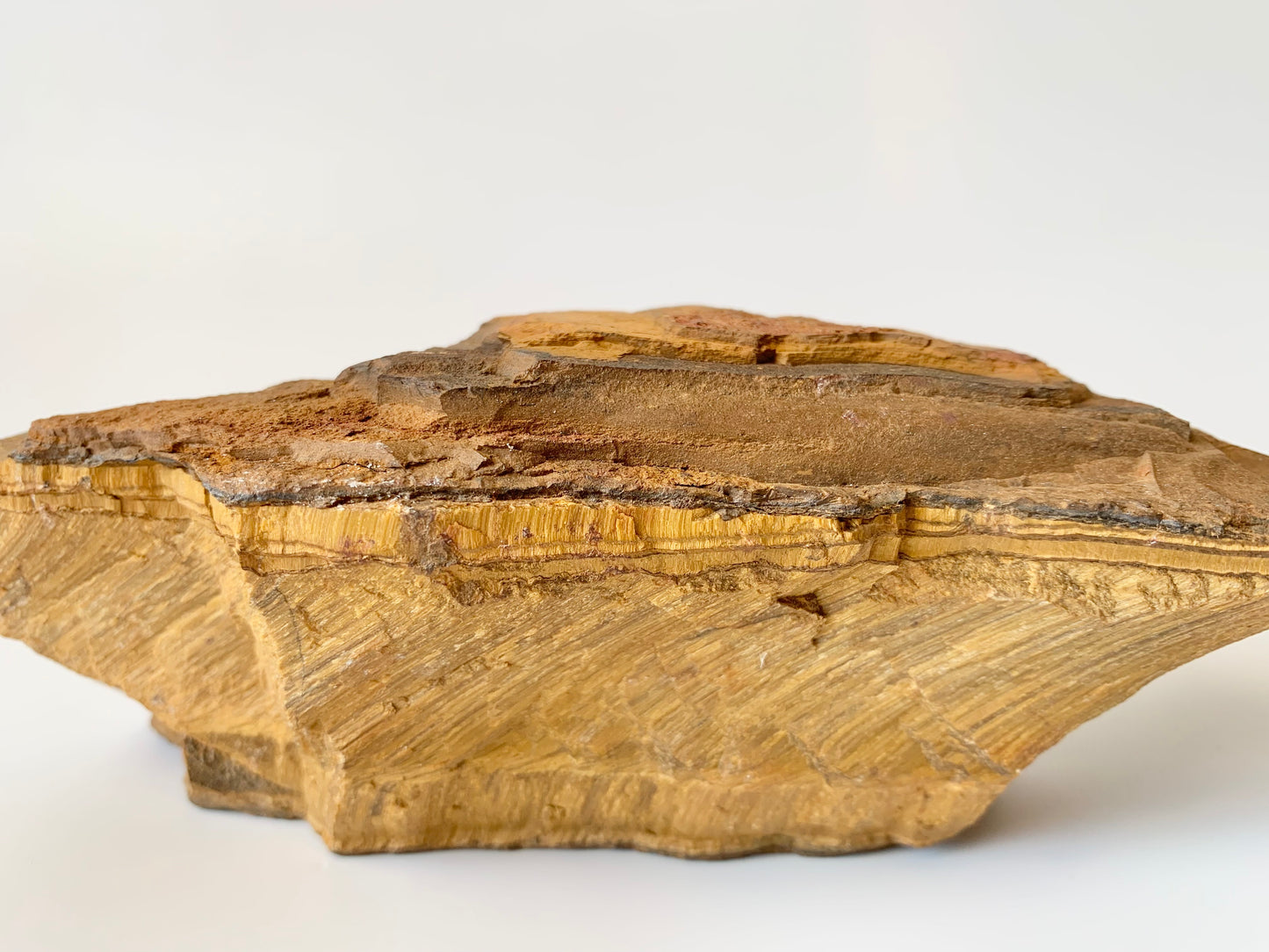 Gold Tigers Eye, Raw