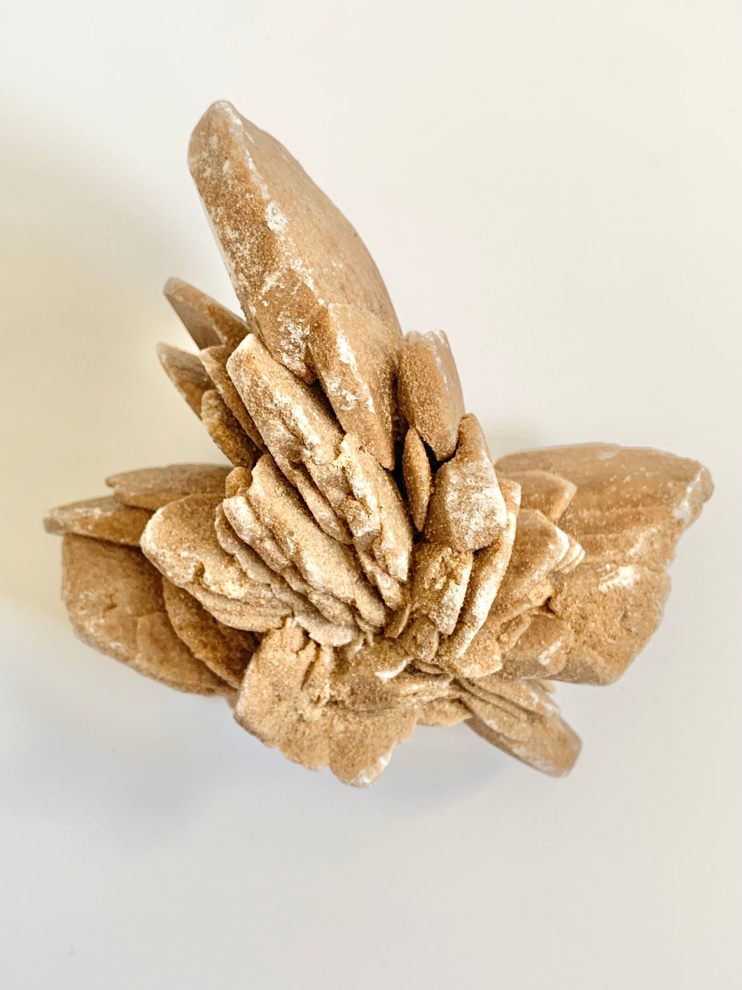 Desert Barite Rose Cluster