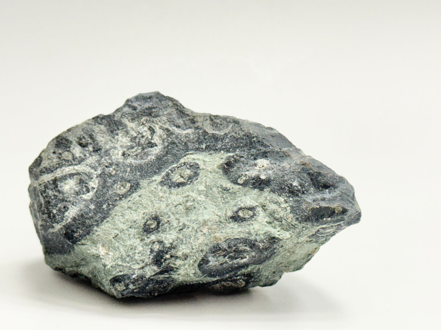 Kambaba Jasper, Raw Display Piece