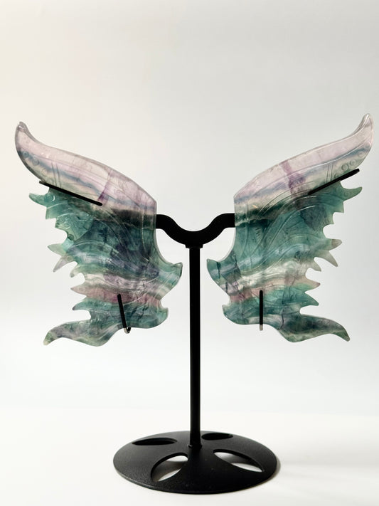 Fluorite Wings with Black Stand and optional dragon attachment