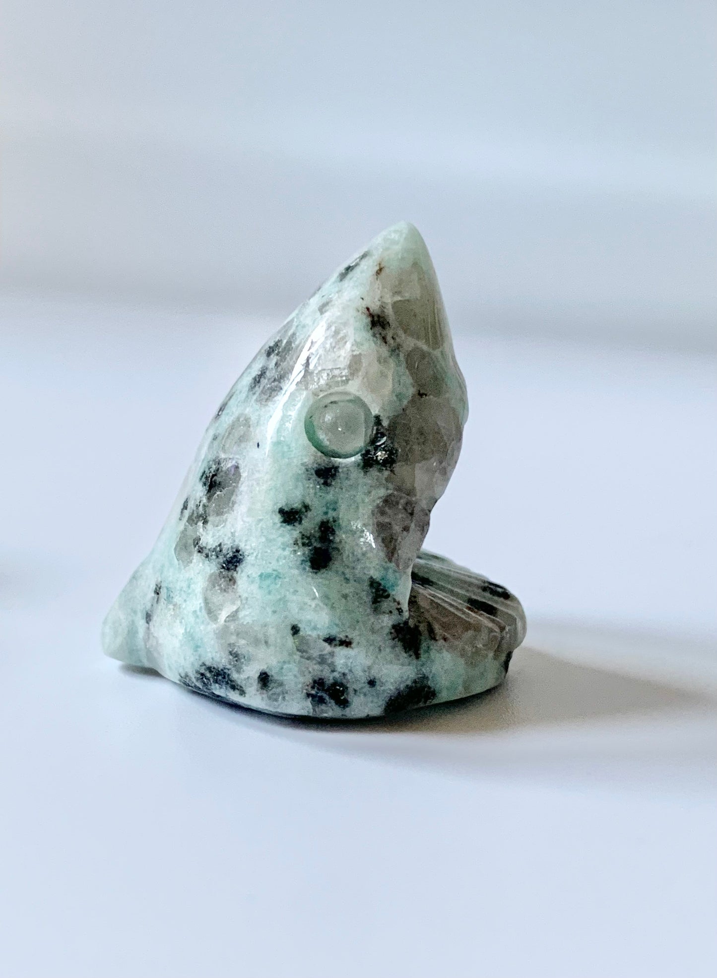 Mini Shark Head Carving, assorted material