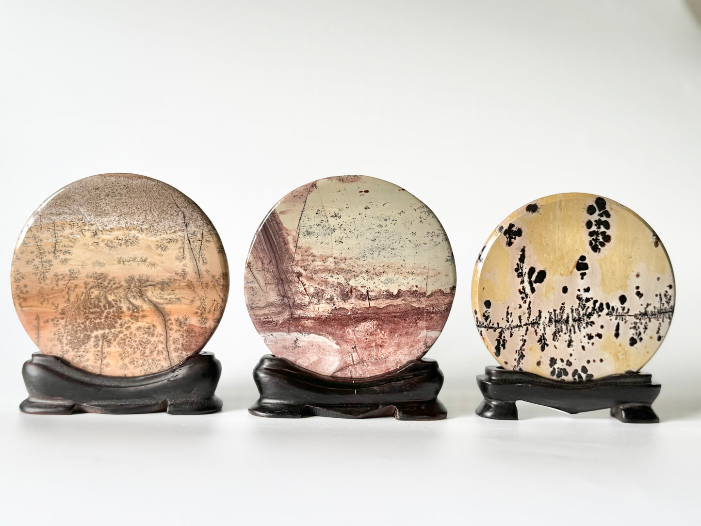 Picture Jasper Slab on Wooden Stand