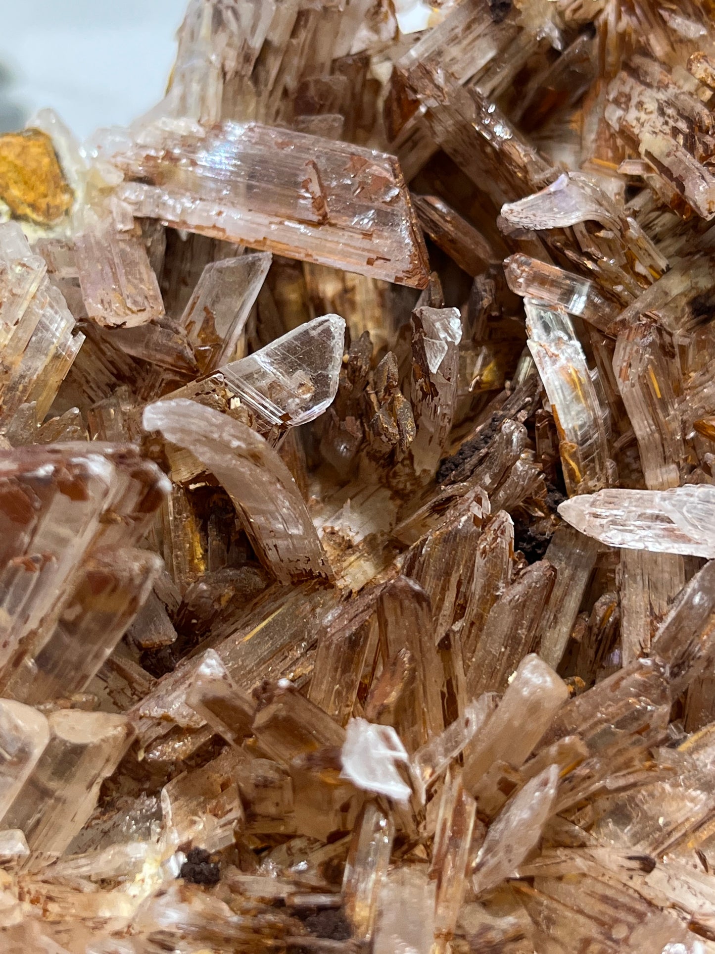 Selenite Cluster with orange/brown staining
