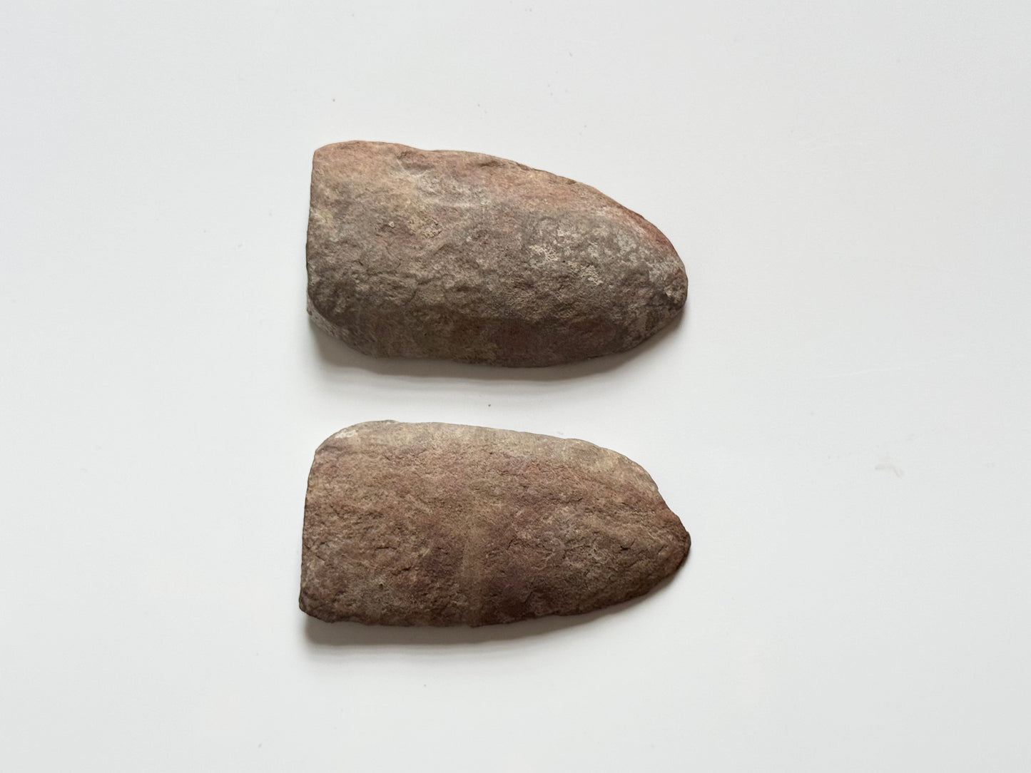 Pecopteris Double Fern Fossil
