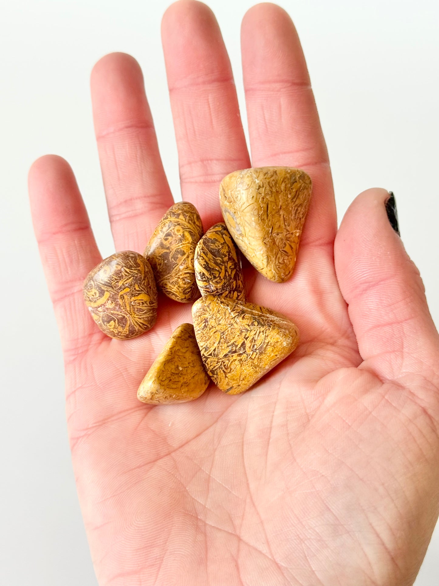 Elephant Skin Jasper, Tumble