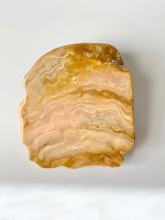Stromatoporoids Fossil Slab