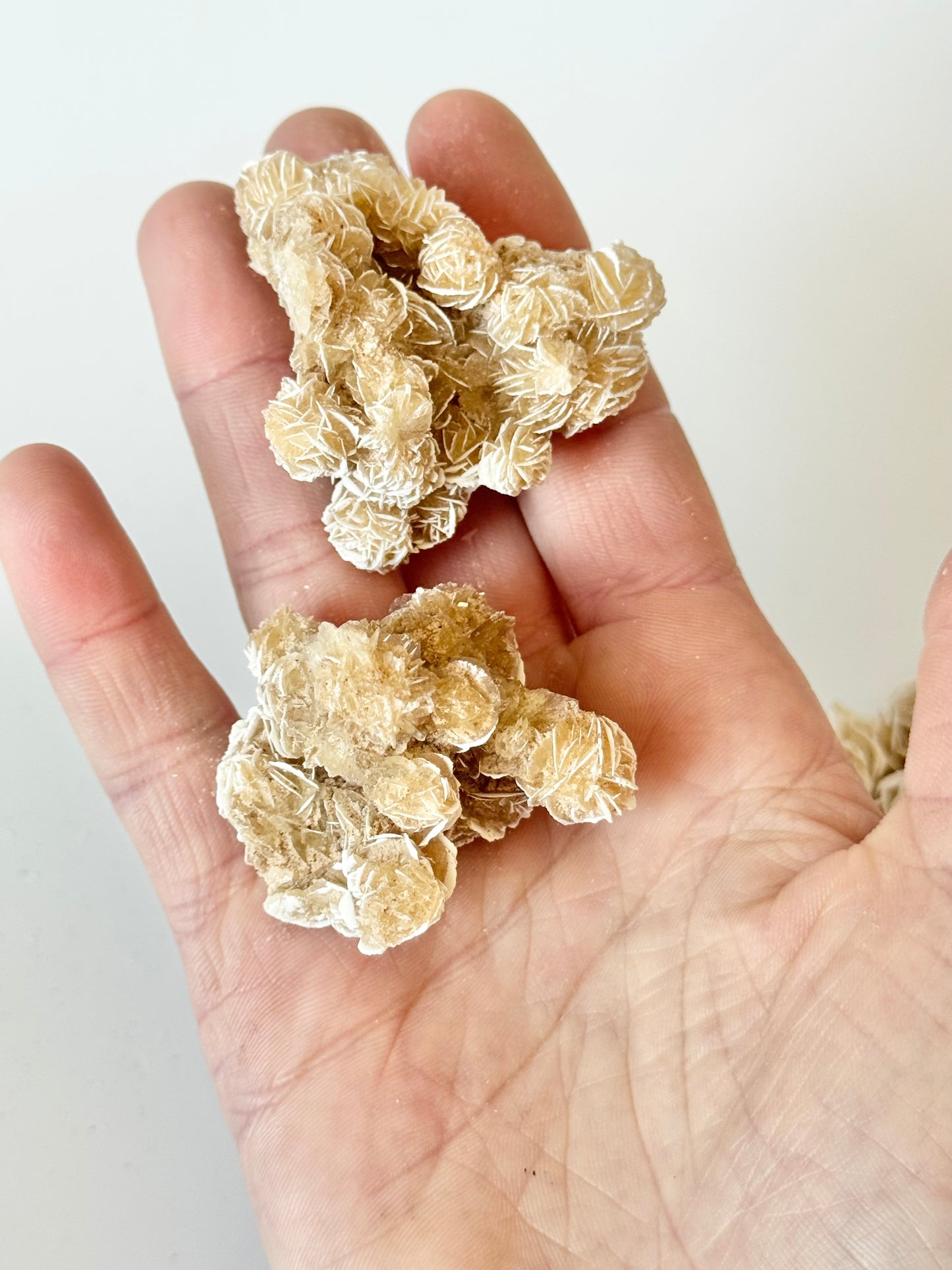 Desert Rose Mini Cluster