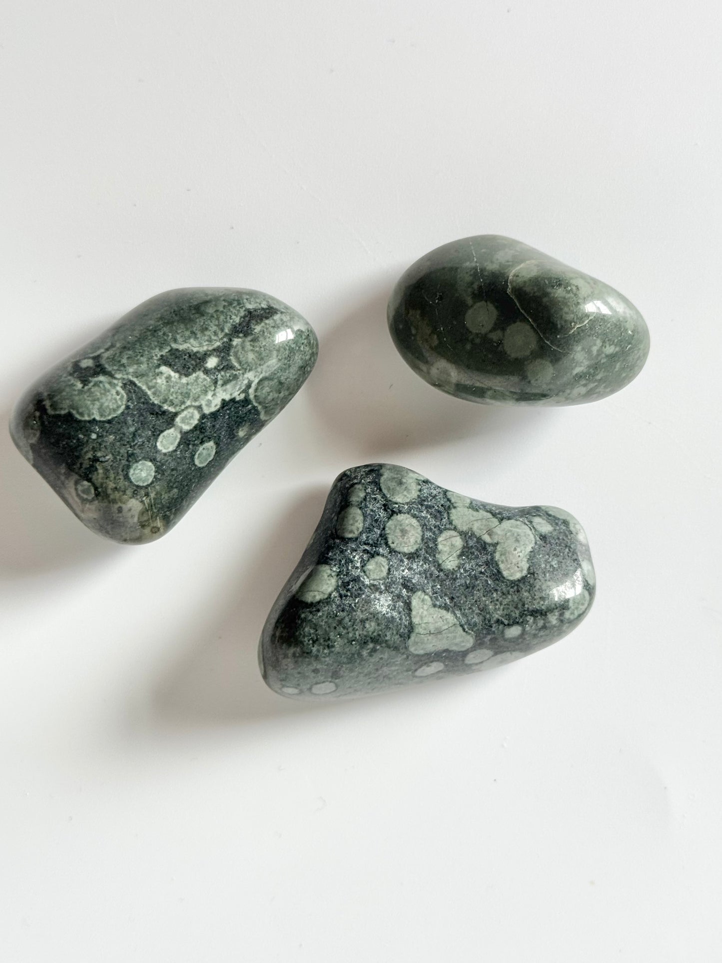 Variolite Lake Michigan Tumbles