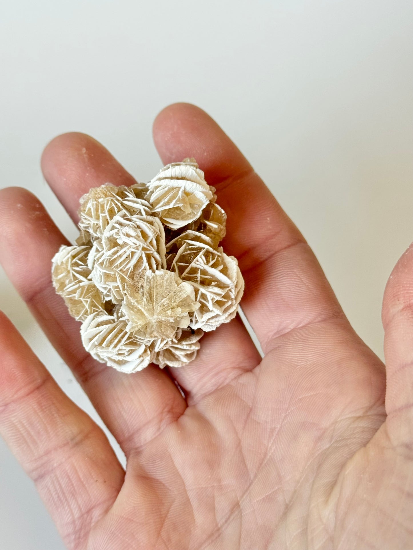 Desert Rose Mini Cluster