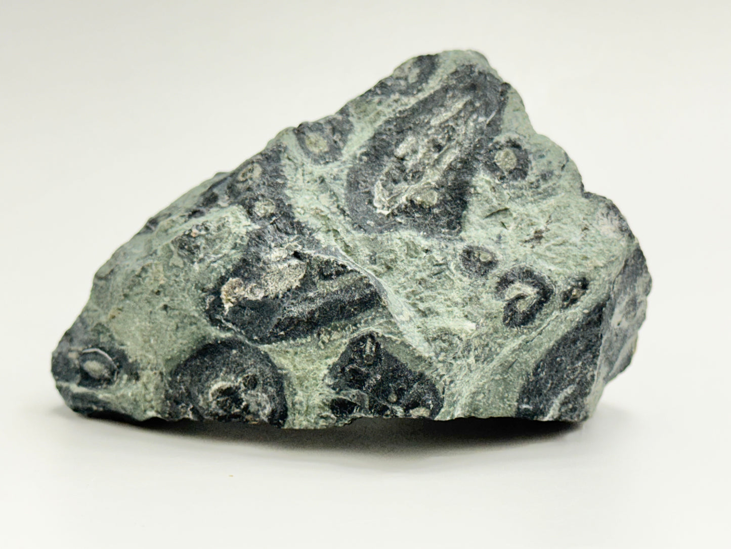 Kambaba Jasper, Raw Display Piece