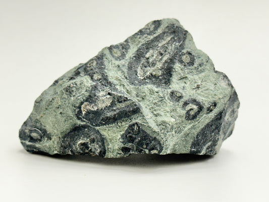 Kambaba Jasper, Raw Display Piece
