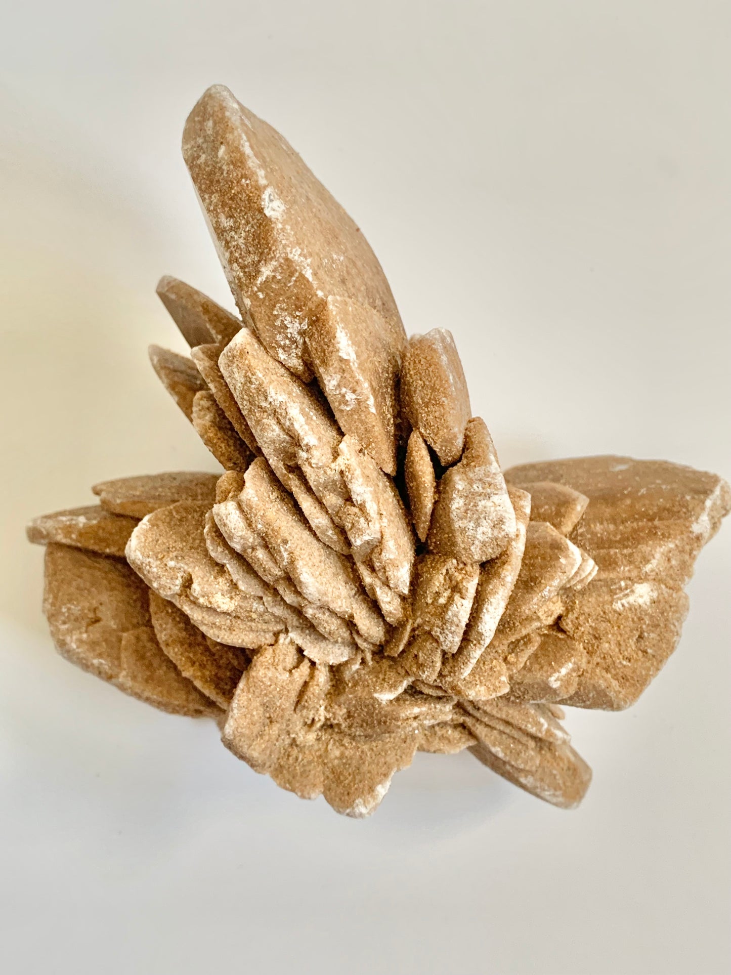 Desert Barite Rose Cluster