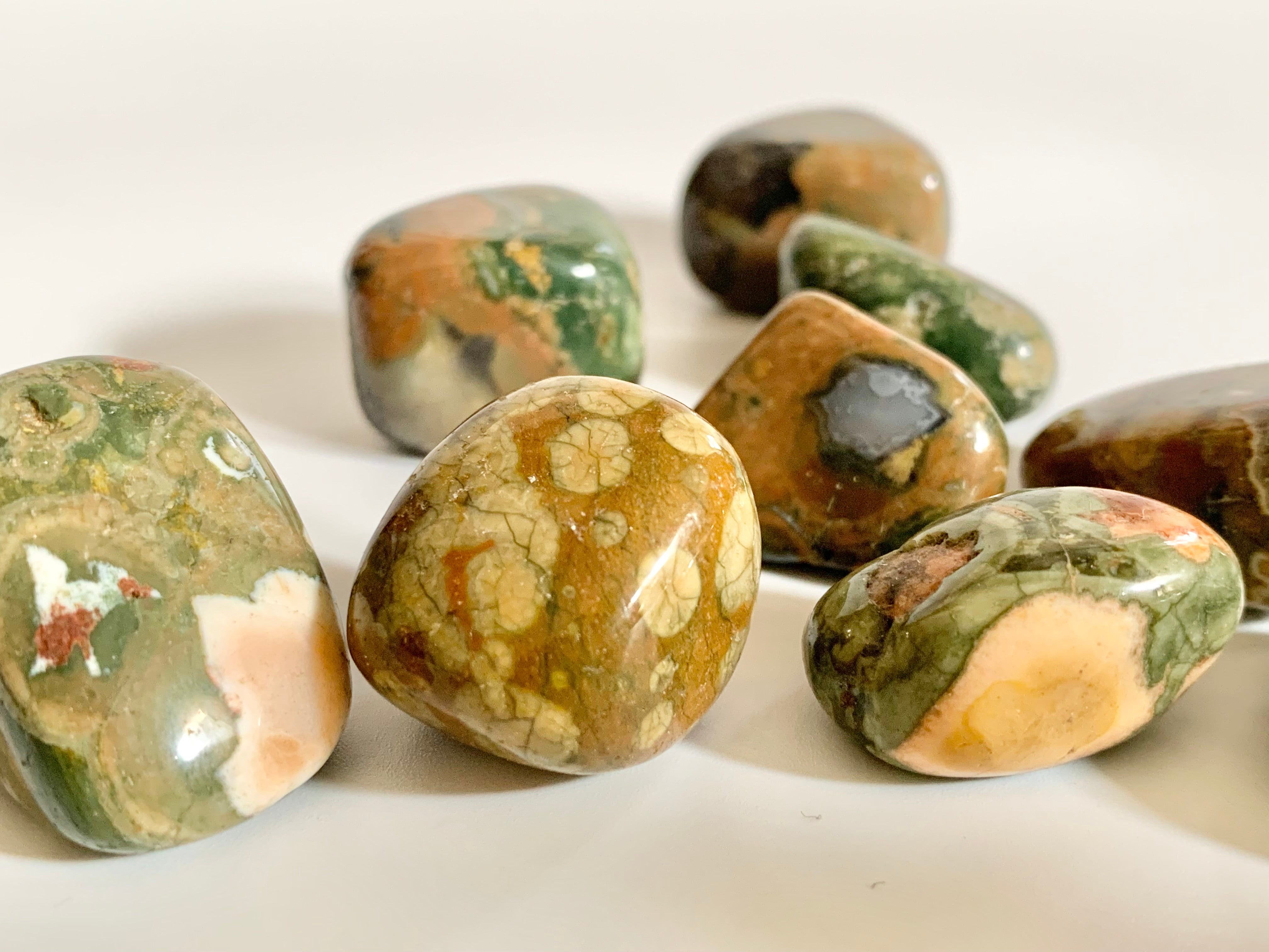 Rainforest Jasper (Rhyolite) – Midwest Shores