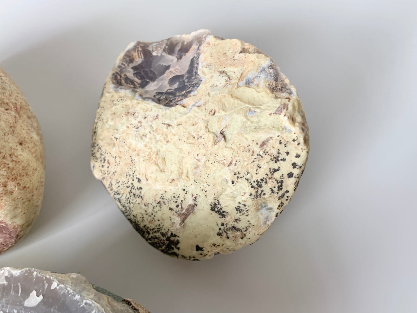 Whole Enhydro Geode/Nodule for Cracking/Cutting