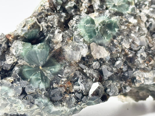 Raw Ocean Jasper – Pick Your Piece