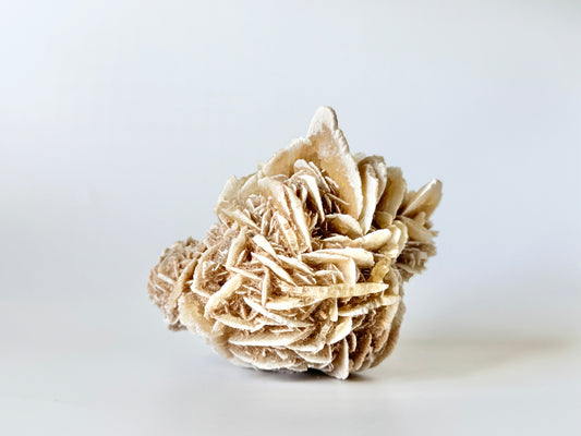 Desert Rose Cluster, Medium