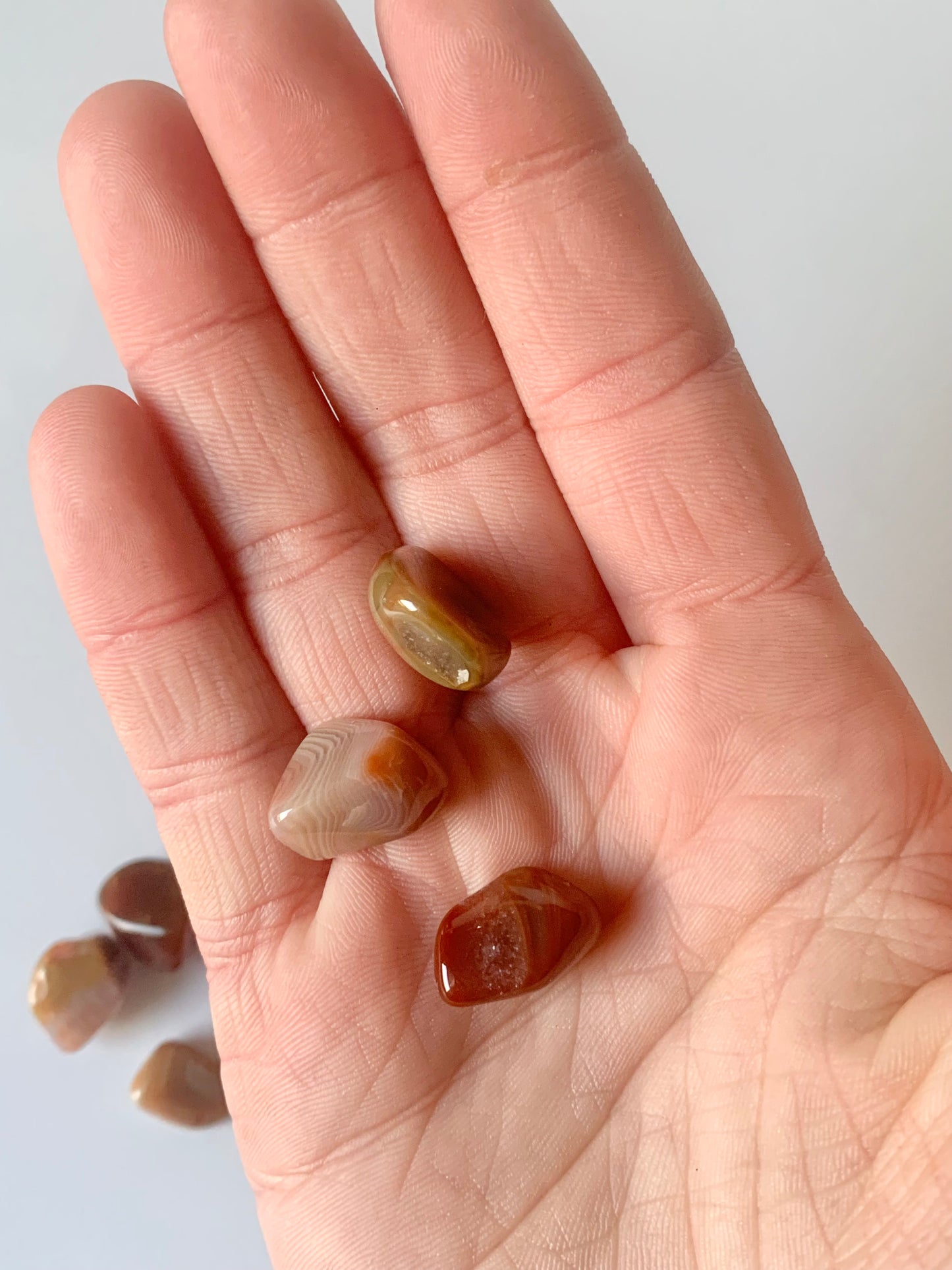 Lake Superior Agate Tumble, small set