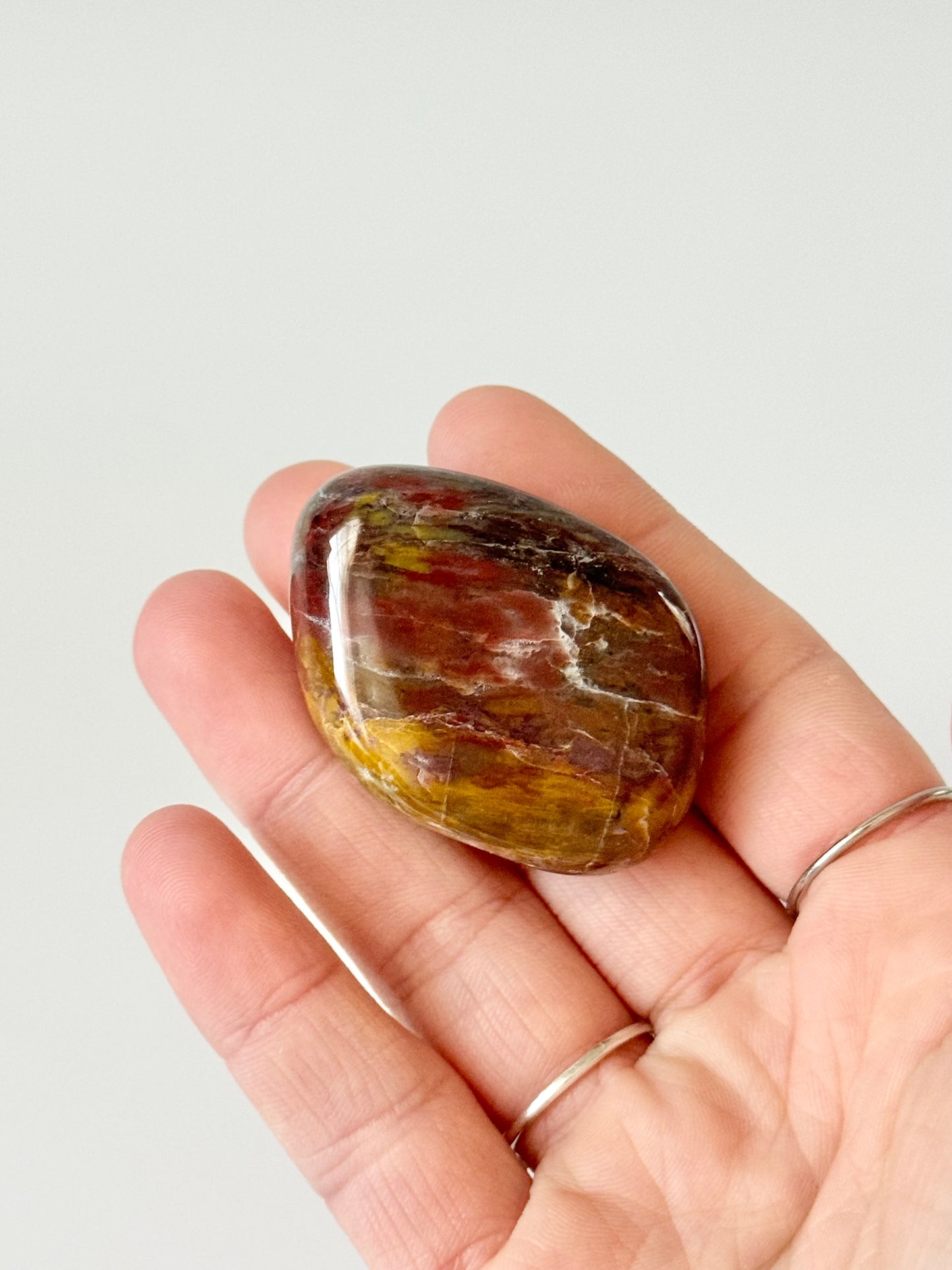 Petrified Wood Large Tumble