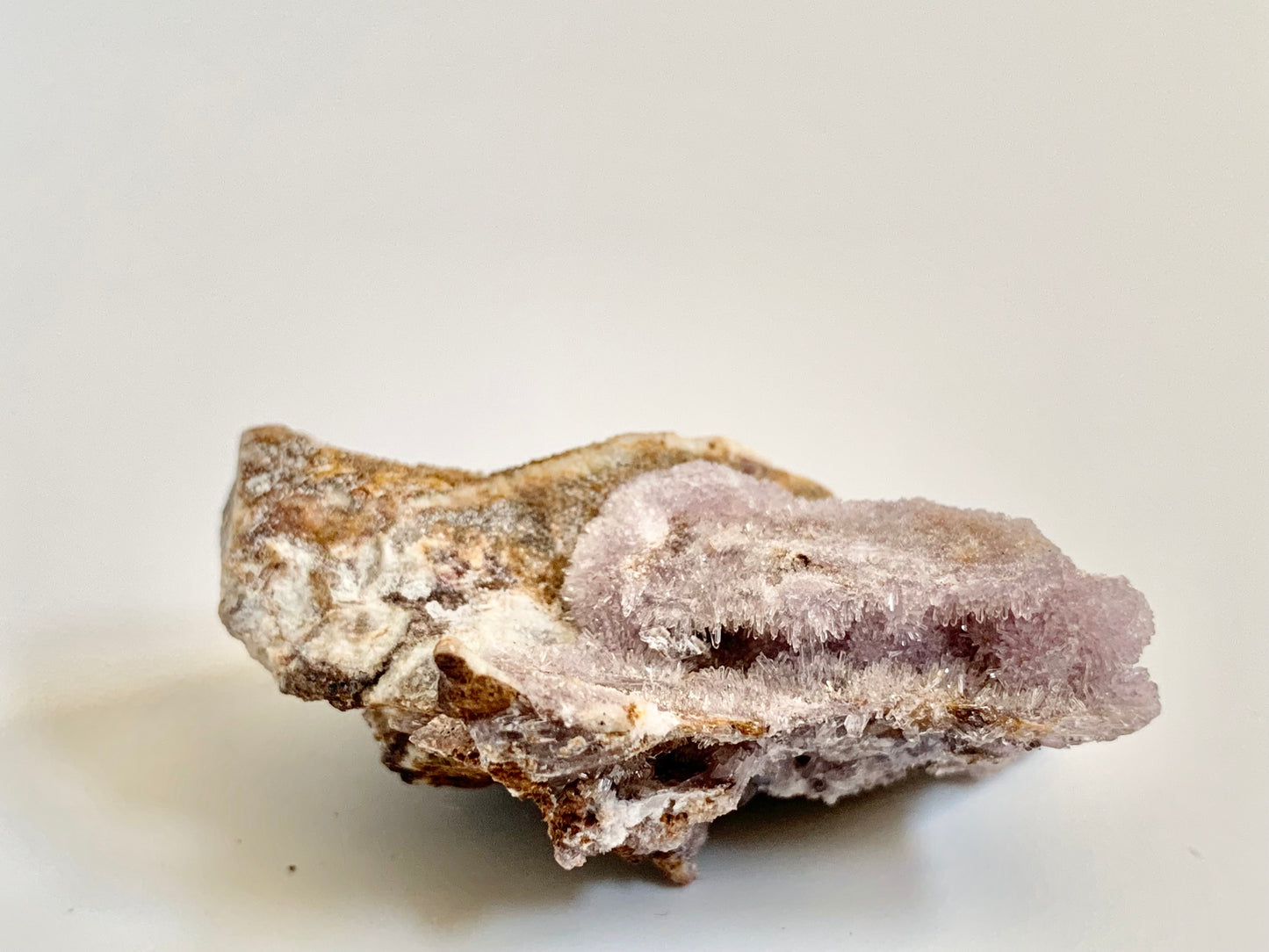 Creedite