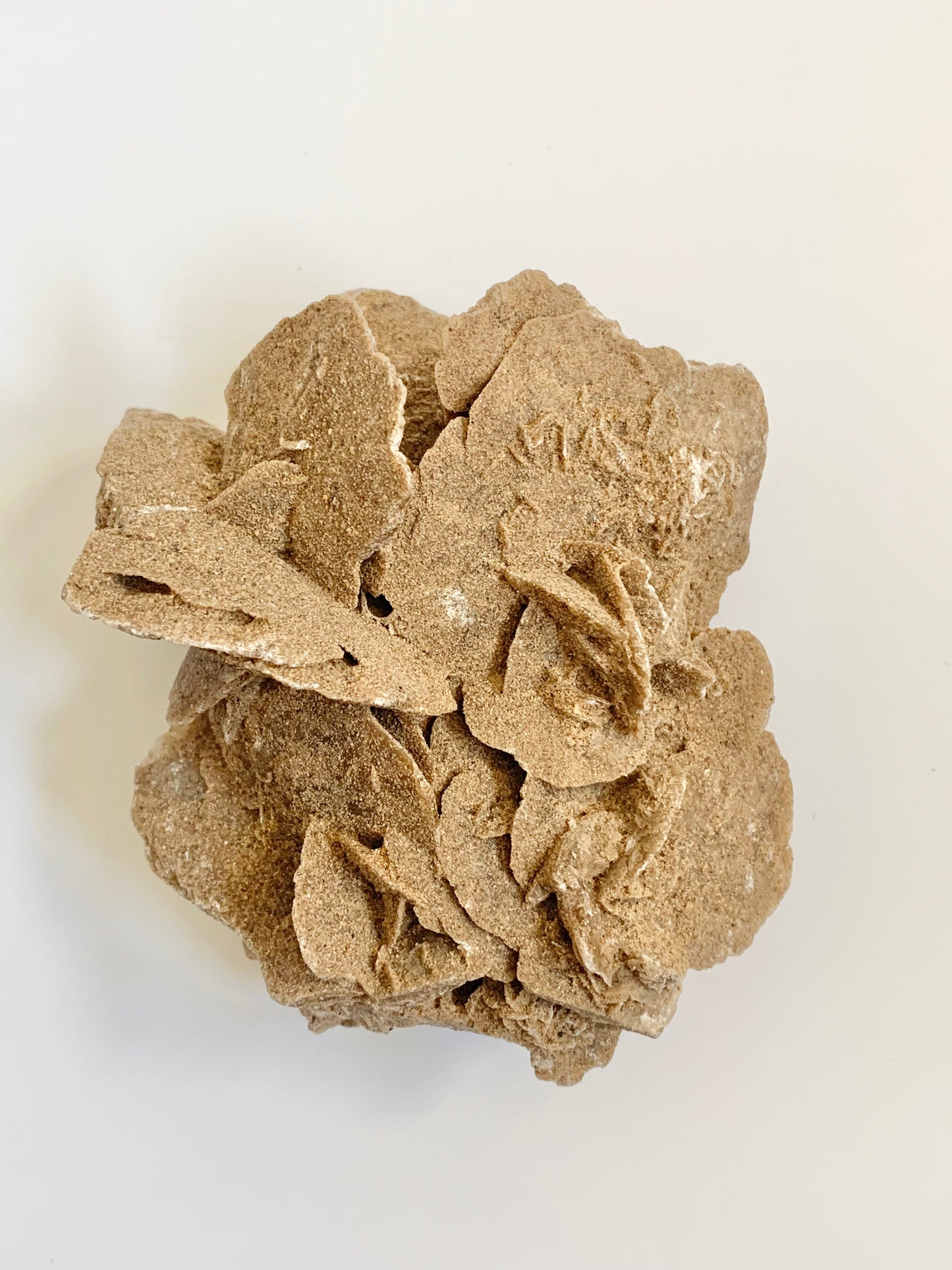 Desert Barite Rose Cluster