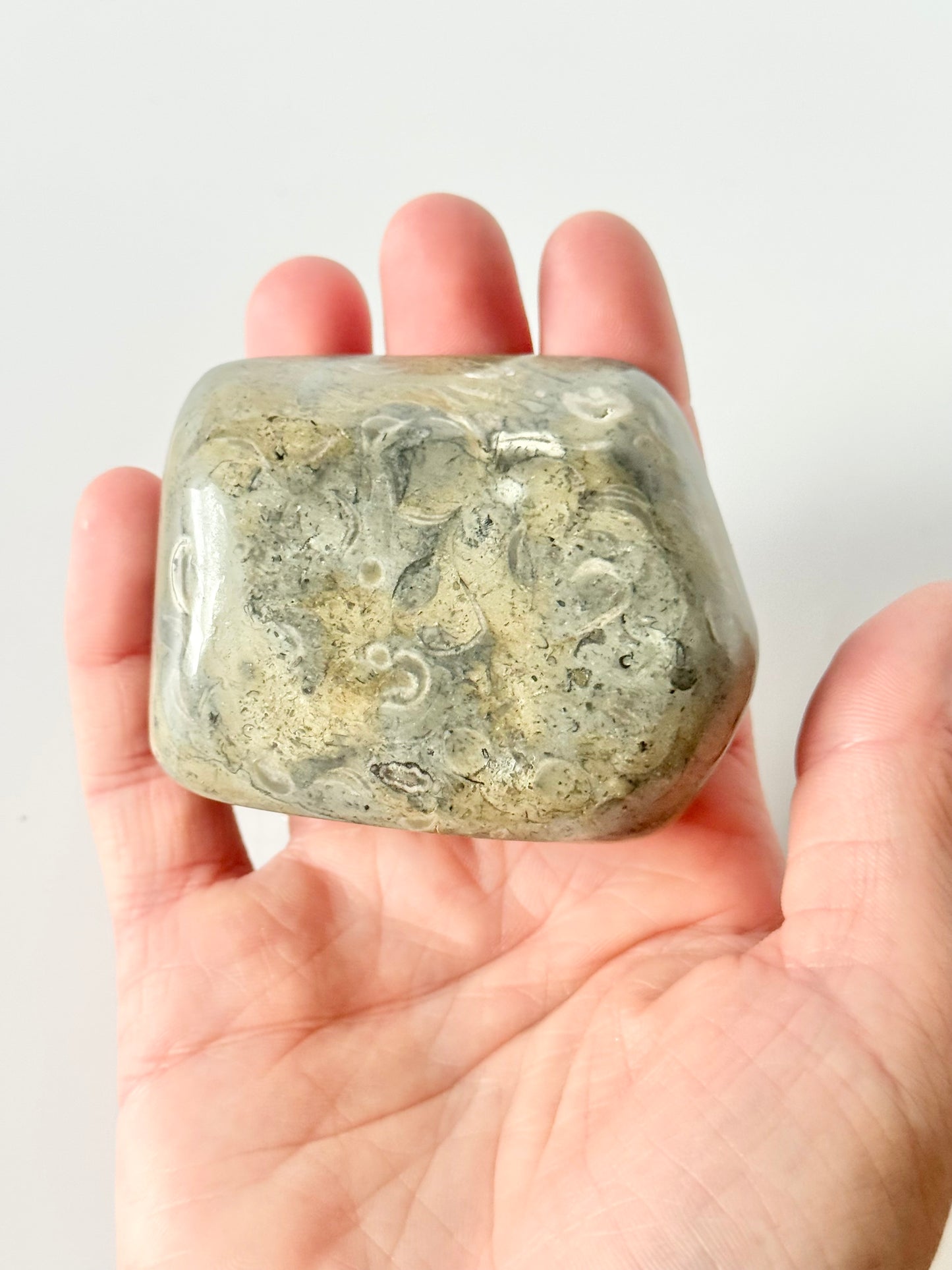 Lake Michigan Fossil Soup Freeform