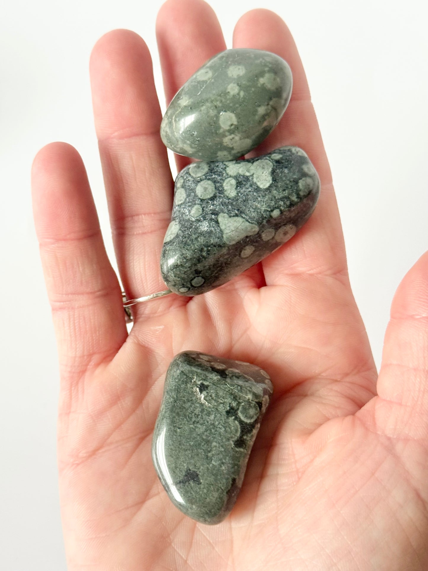 Variolite Lake Michigan Tumbles