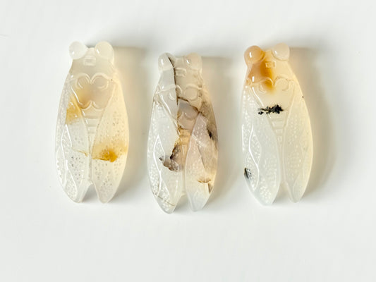 Agate Cicada Flat Carving