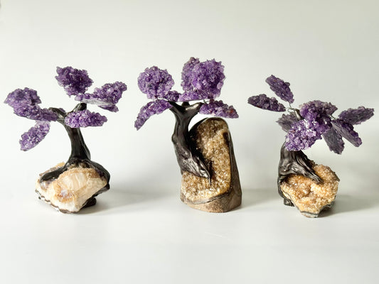 Amethyst Gem Bonsai Tree on Citrine Base