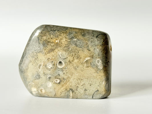 Lake Michigan Fossil Soup Freeform