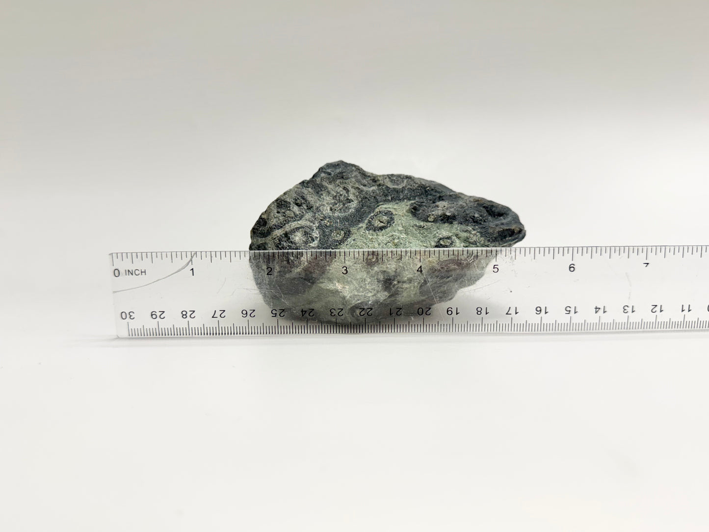 Kambaba Jasper, Raw Display Piece