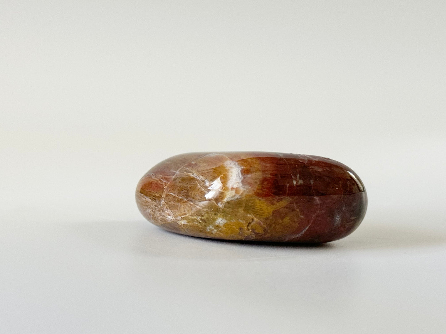 Petrified Wood Large Tumble