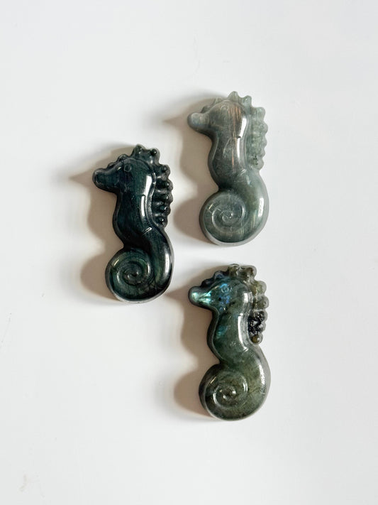 Labradorite Seahorse Carving, flat
