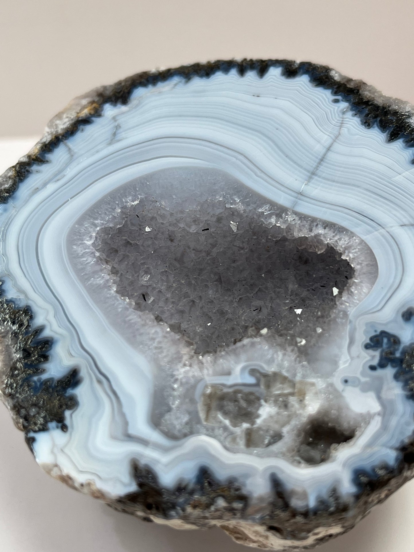 Coconut Geode Polished Half (Las Choyas), choose your own