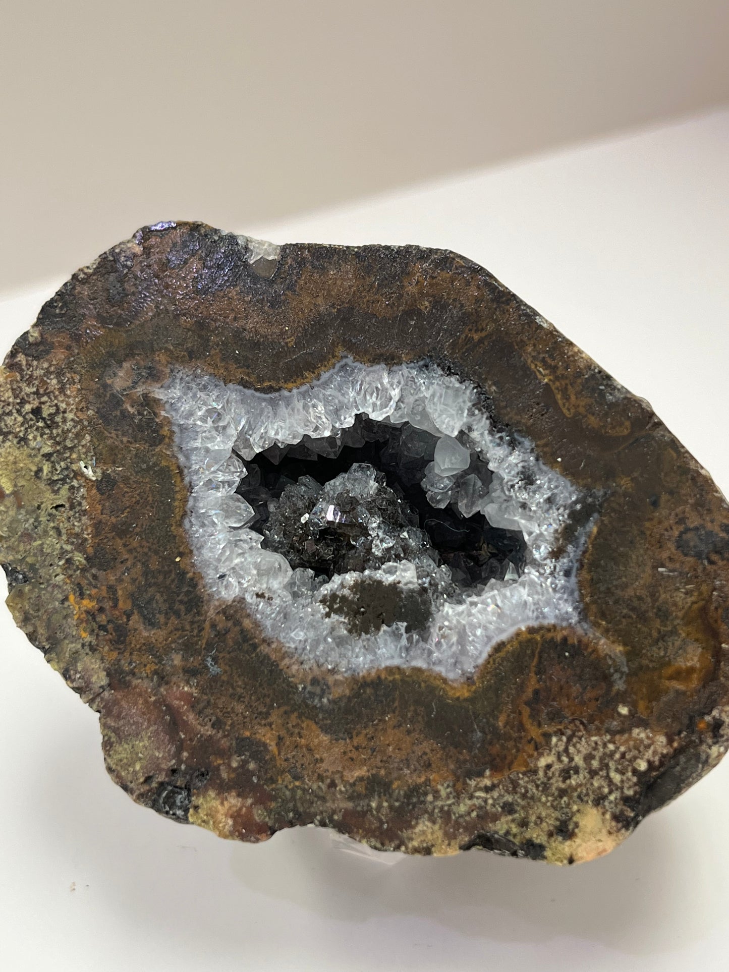 Coconut Geode Polished Half (Las Choyas), choose your own