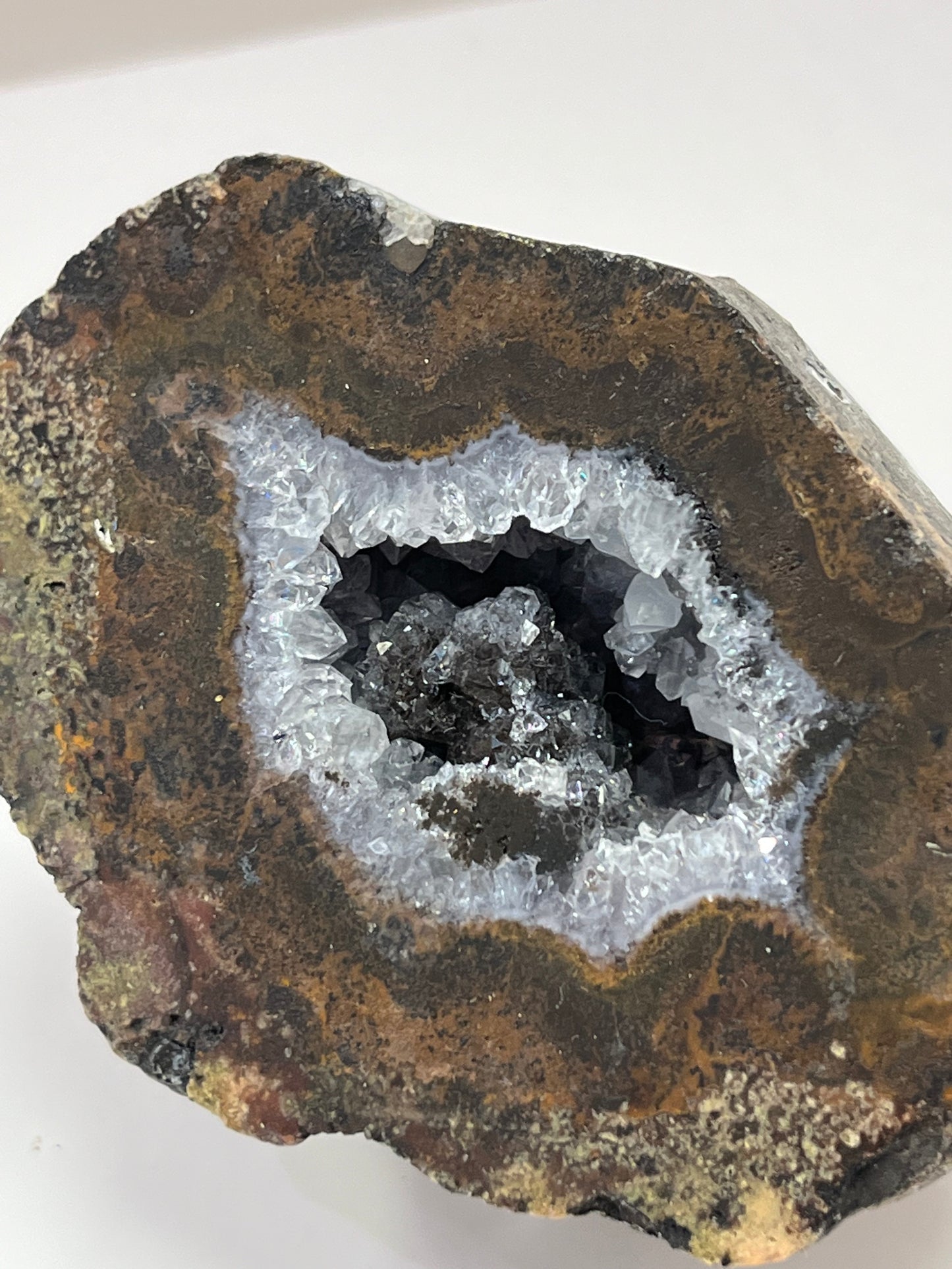 Coconut Geode Polished Half (Las Choyas), choose your own