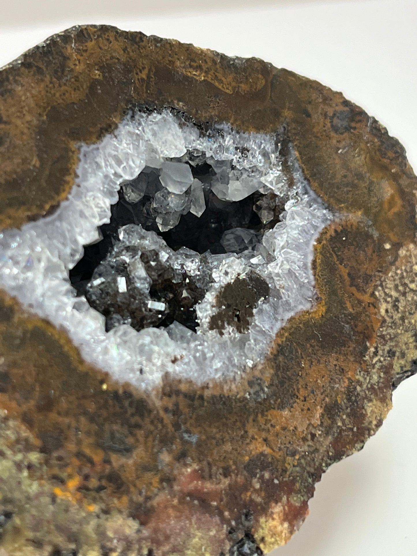 Coconut Geode Polished Half (Las Choyas), choose your own