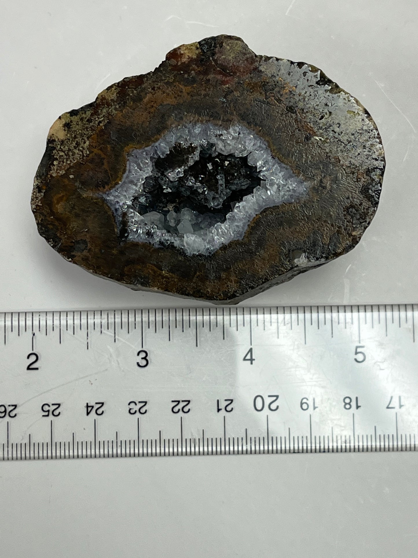Coconut Geode Polished Half (Las Choyas), choose your own