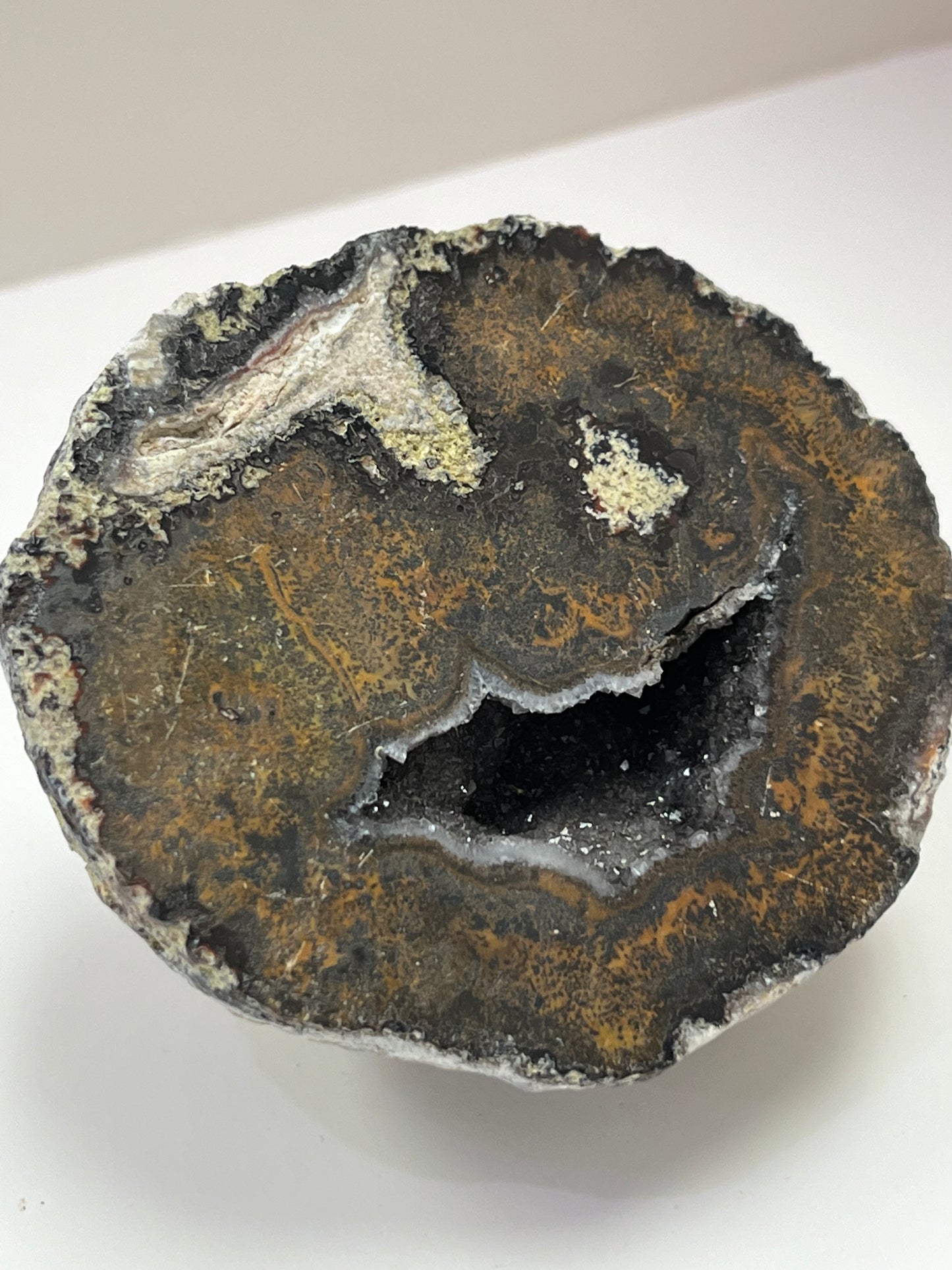 Coconut Geode Polished Half (Las Choyas), choose your own